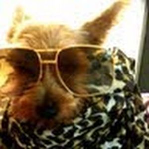 Meet your Posher, Linda